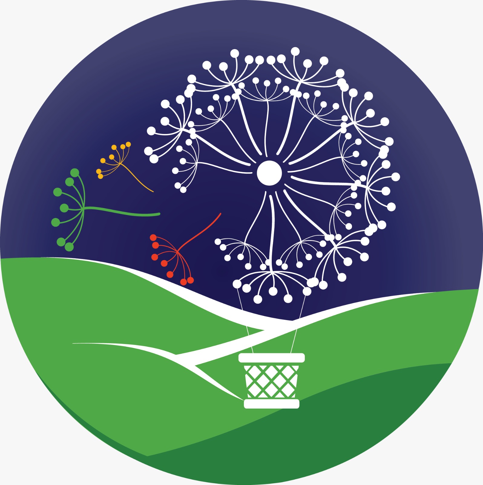 Dezvoltarea comunității Baia Sprie prin măsuri integrate